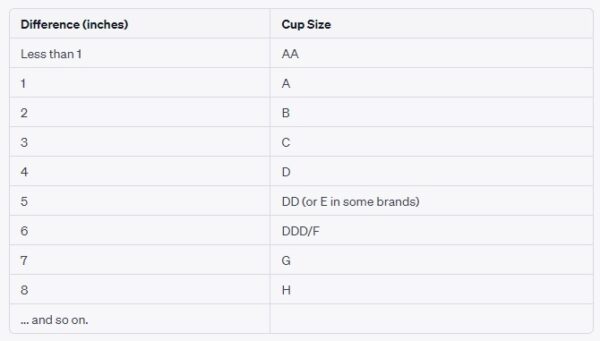 Cup Bra Size Chart In CM & Inches | How To Measure Bust?